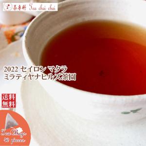 紅茶 ティーバッグ 40個 マタラ ミラティヤナヒルズ茶園 FBOP/2022 茶葉 リーフ｜teachaichai