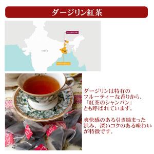 紅茶 人気 お買得品 紅茶 紅茶三昧ティーバッ...の詳細画像4