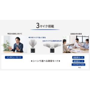 TASCAM(タスカム) VR-04-GY ワ...の詳細画像3