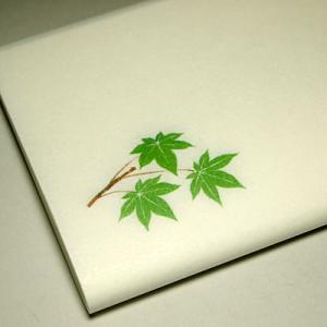 （茶道具/懐紙) 花模様 青楓の絵 利休懐紙 ２帖組 女性用絵懐紙