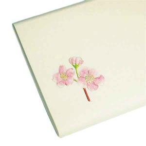 A*i様 帛紗 朱　友湖　化粧箱入り A*i様 帛紗 朱 友湖 化粧箱入り A*i様 帛紗 朱 友湖 化粧箱入り