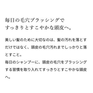 【正規取扱店】リファイオンケアブラシ ReFa...の詳細画像3