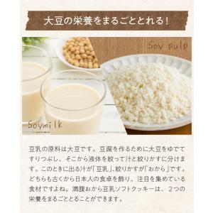 クッキー ダイエット おからクッキー 置き換え...の詳細画像4