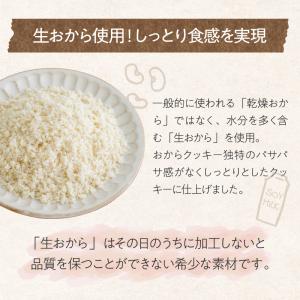 クッキー ダイエット おからクッキー 置き換え...の詳細画像5