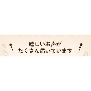 クッキー ダイエット おからクッキー 置き換え...の詳細画像3