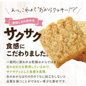 おからクッキー 訳あり 大量 1kg お豆腐屋...の詳細画像1