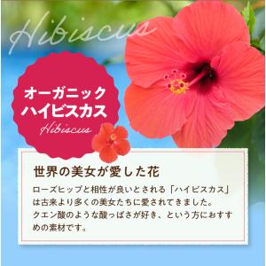 ローズヒップティー オーガニック 有機 ハイビ...の詳細画像4