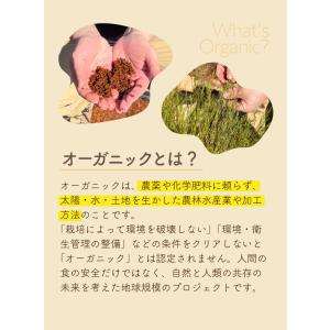 ルイボスティー オーガニック オーガニックルイ...の詳細画像2