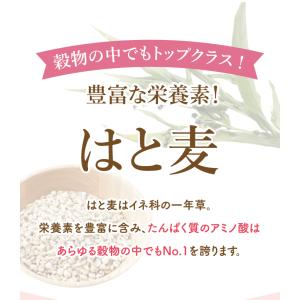 はとむぎ茶 お茶 はと麦 ハトムギ はと麦茶 ...の詳細画像4