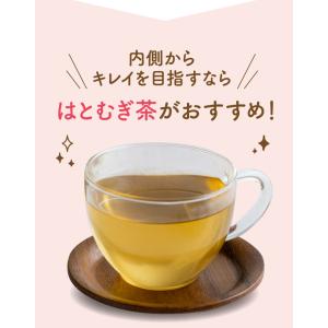 はとむぎ茶 お茶 はと麦 ハトムギ はと麦茶 ...の詳細画像5