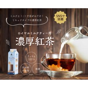 アイスティー 水出し 紅茶 ミルクティー ロイ...の詳細画像1