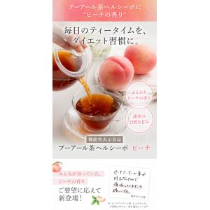 【新発売】体脂肪が気になる方のプーアール茶 ヘ...の詳細画像1