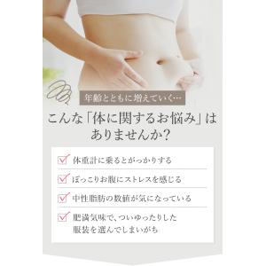 【新発売】体脂肪が気になる方のプーアール茶 ヘ...の詳細画像2