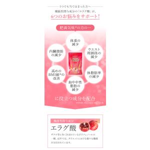 【新発売】体脂肪が気になる方のプーアール茶 ヘ...の詳細画像3