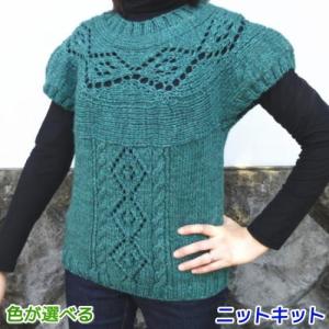 毛糸 スターメで編む丸ヨークが可愛い横編みのベスト セーター セット 編みものキット 極太｜teamiohenya