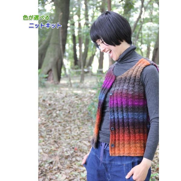 毛糸 野呂英作のくれよんで編む地模様のベスト セット 編みものキット ウール