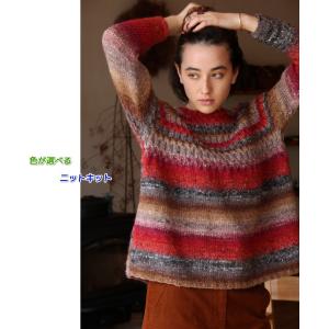 野呂英作のシルクガーデンで編むラグランセーター 手編みキット 毛糸 無料編み図 編みものキット｜teamiohenya
