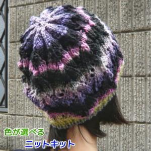 野呂英作 野呂英作の毛糸・くれよんで編むシンプルなニット帽 セット