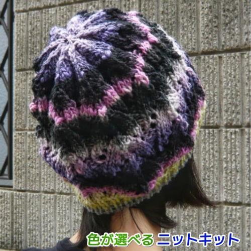 ●編み針セット●野呂英作のくれよんで編む透かし模様編みの帽子 手編みキット 編み図