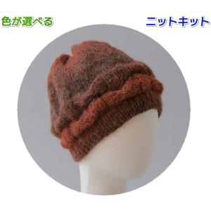 毛糸 アルパカレジェーログラデーションで編む立体的な編地模様がおもしろい帽子 セット 極太｜teamiohenya