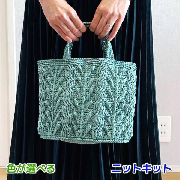 毛糸 夏糸 エコアンダリヤで編むかぎ針編みのアラン模様が素敵なバッグ 編み物キット セット