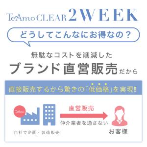 【1日あたり約18円】コンタクト 2week ...の詳細画像3