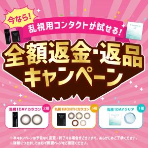 乱視 ワンデー カラコン トーリック 1箱10...の詳細画像1