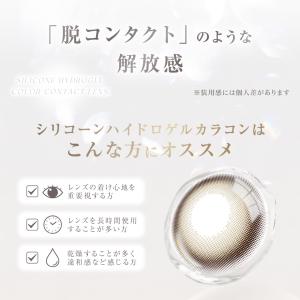 【新発売】ピトン ワンデー 2箱 ぴと プロデ...の詳細画像2
