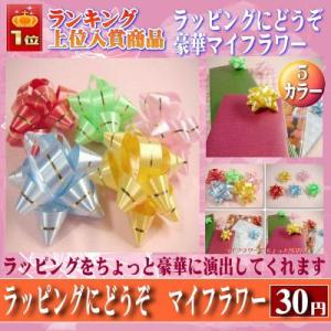 ちょっと豪華に♪マイフラワー(期間限定30円)こ...の商品画像