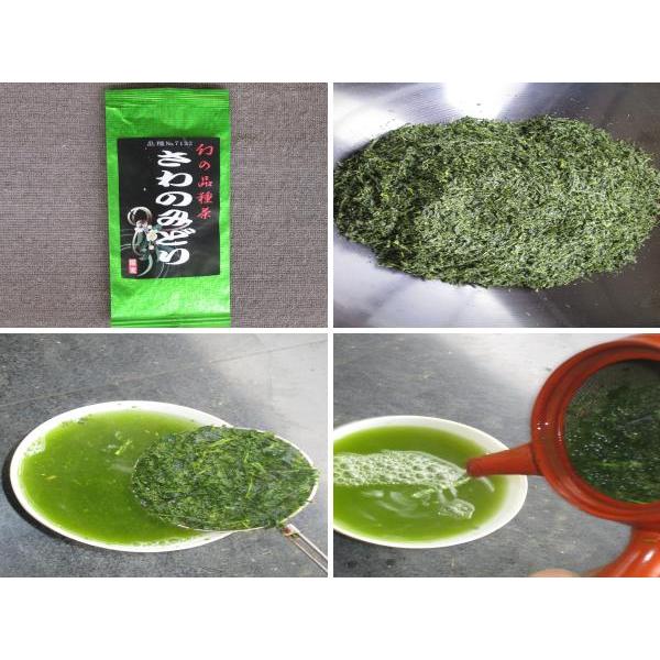 幻のお茶「さわのみどり」品種茶3132