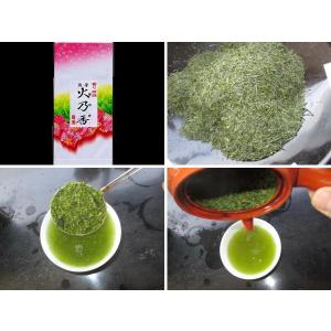 香り芳ばしい煎茶　火乃香　100ｇ｜teaootaen