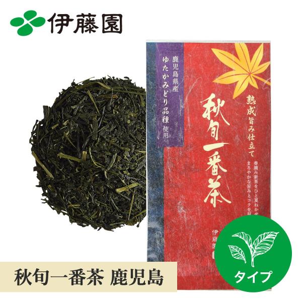 お茶 緑茶 茶葉  伊藤園 秋旬一番茶 鹿児島県 ゆたかみどり 70g