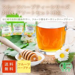 生活の木 ハーブティー ノンカフェイン ハーブティ おしゃれ プチ