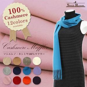 カシミヤ１００％レディースマフラー｜teatimegift