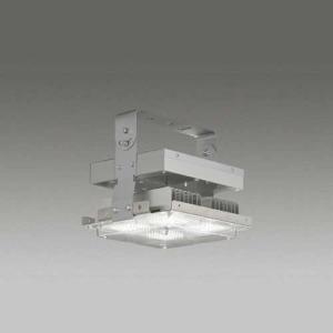 Panasonic（パナソニック） NYM20221 LR9 (NYM20221LR9) 天井直付型