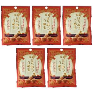 忍者めし 鉄の鎧 グレープ味 10袋セット UHA味覚糖 広島倉庫 : Tech-In