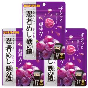 UHA味覚糖 忍者めし 鉄の鎧 マスカット味 1袋 ASMR SNS話題