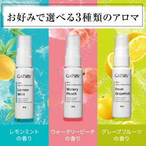GATSBY(ギャツビー) マスク爽快アロマミ...の詳細画像4