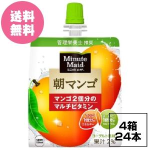 Coca Cola ミニッツメイド 朝マンゴ 180g パウチ × 24個 ゼリー飲料