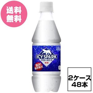 2ケース48本 アイシー・スパーク フロム カナダドライ PET 430ml ICY SPARK CANADA DRY 全国送料無料 飲みきりやすい WEB限定 サイズ 強炭酸水
