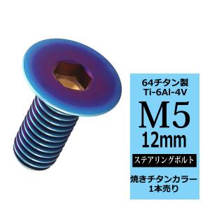 ステアリングボルト M5×15mm P0.8 64チタン 皿ボルト ブルー 1本