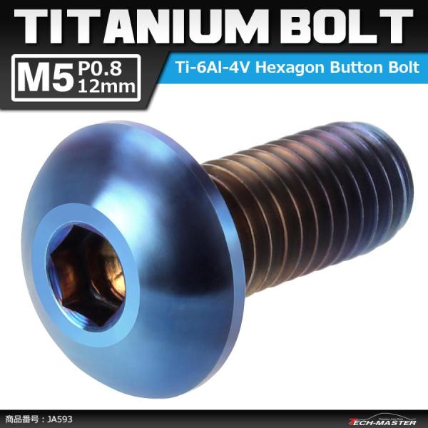 64チタンボルト M5×12mm P0.8 トラスヘッド 六角穴付き 焼きチタンカラー ダークカラー...