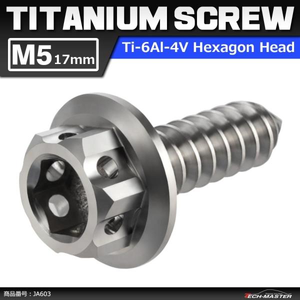 64チタンネジ M5×17mm ヘキサゴンヘッド タッピングネジ 六角穴付き シルバーカラー 素地 ...