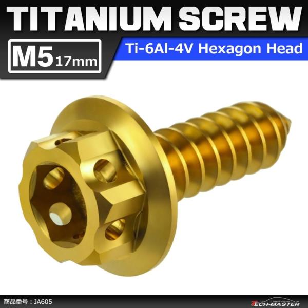64チタンネジ M5×17mm ヘキサゴンヘッド タッピングネジ 六角穴付き ゴールドカラー 1個 ...