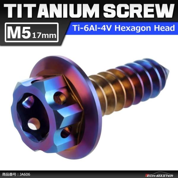 64チタンネジ M5×17mm ヘキサゴンヘッド タッピングネジ 六角穴付き 焼きチタンカラー ダー...