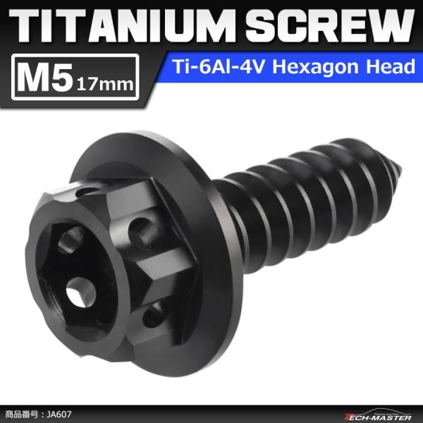 64チタンネジ M5×17mm ヘキサゴンヘッド タッピングネジ 六角穴付き ブラック 1個 JA6...