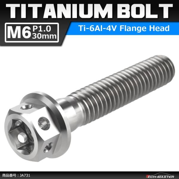 64チタンボルト M6×30mm P1.0 ホールヘッド 六角ボルト フランジ付き 六角ボルト シル...