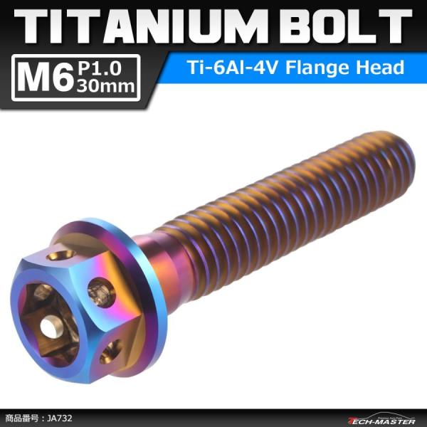 64チタンボルト M6×30mm P1.0 ホールヘッド 六角ボルト フランジ付き 六角ボルト 焼き...