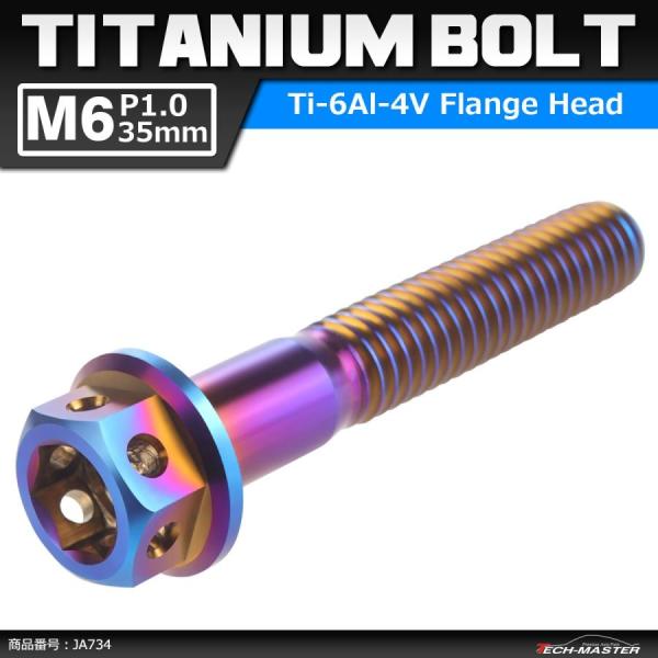 64チタンボルト M6×35mm P1.0 ホールヘッド 六角ボルト フランジ付き 六角ボルト 焼き...