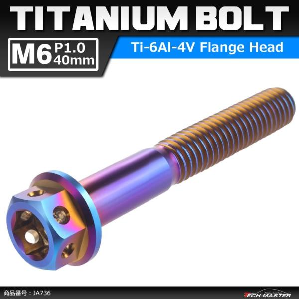 64チタンボルト M6×40mm P1.0 ホールヘッド 六角ボルト フランジ付き 六角ボルト 焼き...